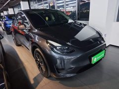 Tesla Model Y Rear-Wheel Drive - ფოტო 4