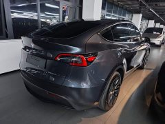 Tesla Model Y Rear-Wheel Drive - ფოტო 7