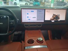 Li Auto L8 2024 Max - ფოტო 13