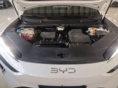 BYD Haima Sealion 06 DM-i 205 Pilot Plus - ფოტო 20