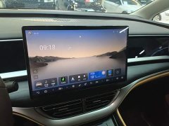Denza BYD Denza D9 DM-i 980 Four-Wheel Drive Flagship - ფოტო 13