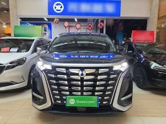 Denza BYD Denza D9 DM-i 980 Four-Wheel Drive Flagship - ფოტო 3