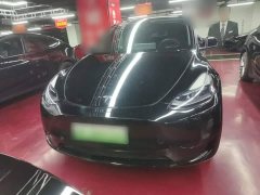 Tesla Model Y Rear-Wheel Drive - ფოტო 3