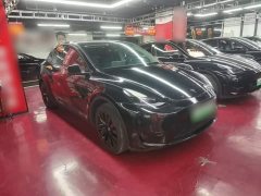Tesla Model Y Rear-Wheel Drive - ფოტო 4