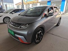 BYD Dolphin 405km Fashion Edition - ფოტო 2