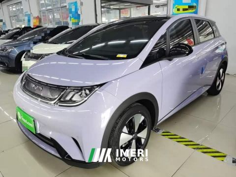 2023 BYD Dolphin 420km Fashion Edition