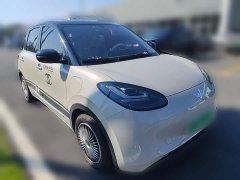 Wuling Binguo 333km Joy Edition - ფოტო 6