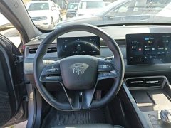 BYD Qin PLUS DM-i Smart Drive Edition 55KM Leading - ფოტო 11