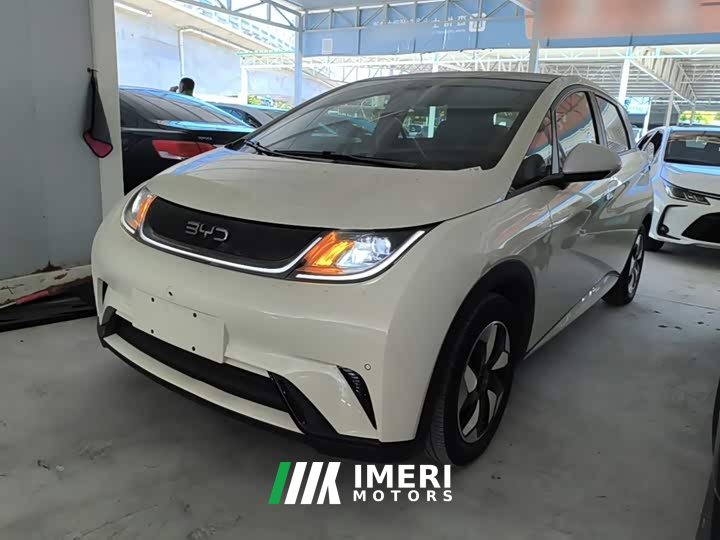 BYD Dolphin Glory Edition 420km Fashion Version - ავტომობილი ჩინეთიდან