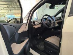 BYD Dolphin Glory Edition 420km Fashion Version - ფოტო 16