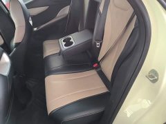BYD Dolphin Glory Edition 420km Fashion Version - ფოტო 17