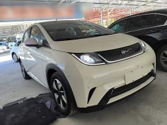 BYD Dolphin Glory Edition 420km Fashion Version - ფოტო 4