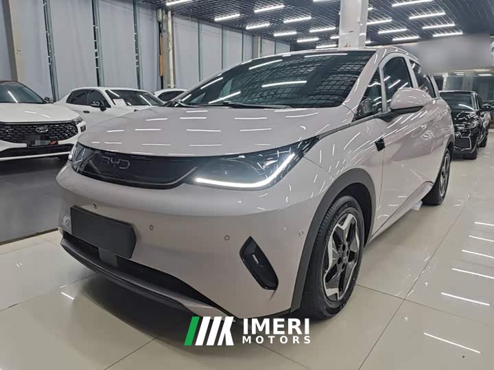 BYD Dolphin Smart Drive 420km Freedom Edition - ავტომობილი ჩინეთიდან