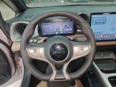 BYD Dolphin Smart Drive 420km Freedom Edition - ფოტო 11