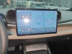 BYD Dolphin Smart Drive 420km Freedom Edition - ფოტო 13
