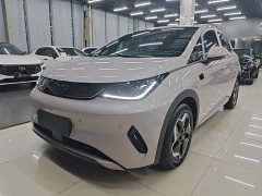 BYD Dolphin Smart Drive 420km Freedom Edition - ფოტო 2