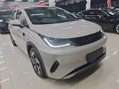 BYD Dolphin Smart Drive 420km Freedom Edition - ფოტო 4
