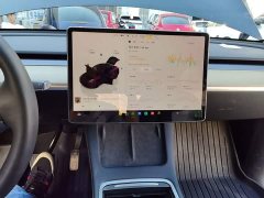 Tesla Model Y Rear-Wheel Drive - ფოტო 13