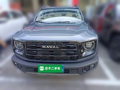 Great Wall Dachshund 2026 1.5T DCT Border Collie Edition - ფოტო 5