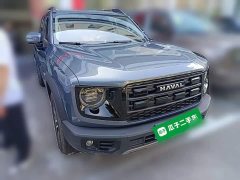 Great Wall Dachshund 2026 1.5T DCT Border Collie Edition - ფოტო 6