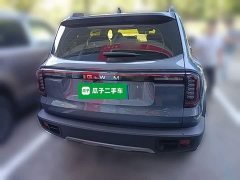 Great Wall Dachshund 2026 1.5T DCT Border Collie Edition - ფოტო 8