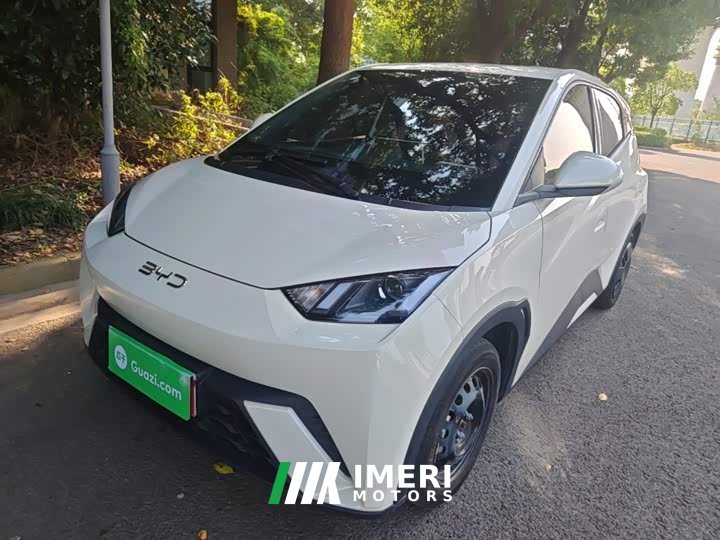 BYD Seagull Glory Edition 305km Vitality Version - ავტომობილი ჩინეთიდან