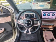 BYD Seagull Glory Edition 305km Vitality Version - ფოტო 11