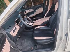 BYD Seagull Glory Edition 305km Vitality Version - ფოტო 15