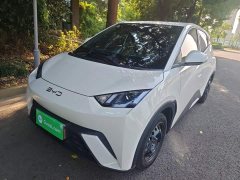 BYD Seagull Glory Edition 305km Vitality Version - ფოტო 2