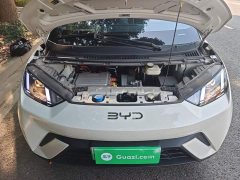 BYD Seagull Glory Edition 305km Vitality Version - ფოტო 20