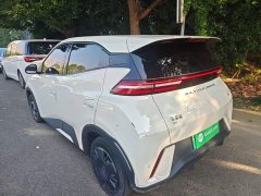 BYD Seagull Glory Edition 305km Vitality Version - ფოტო 5