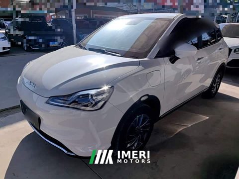 2022 Neta V Trend 300 Lite Ternary Lithium - ავტომობილი ჩინეთიდან