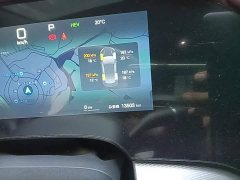 BYD Dolphin 07 DM-i Smart Driving Edition DM-i 1.5L 125km Luxury - ფოტო 12