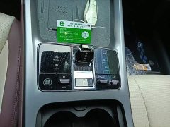 BYD Dolphin 07 DM-i Smart Driving Edition DM-i 1.5L 125km Luxury - ფოტო 14