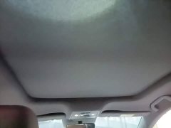 BYD Dolphin 07 DM-i Smart Driving Edition DM-i 1.5L 125km Luxury - ფოტო 18