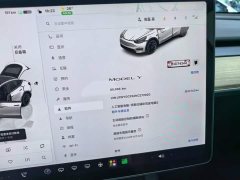 Tesla Model Y Rear-Wheel Drive - ფოტო 12