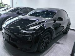 Tesla Model Y Rear-Wheel Drive - ფოტო 2