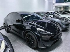 Tesla Model Y Rear-Wheel Drive - ფოტო 4