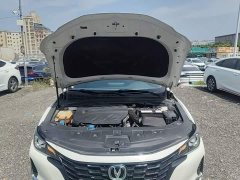 Changan Ruicheng CC 2022 Blue Whale Edition 1.5T DCT Luxury Edition - ფოტო 16