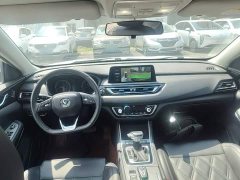 Changan Ruicheng CC 2022 Blue Whale Edition 1.5T DCT Luxury Edition - ფოტო 6