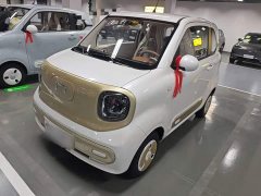 FAW Besturn Xiaoma 222km Colorful Edition - ფოტო 1