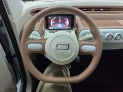 FAW Besturn Xiaoma 222km Colorful Edition - ფოტო 11
