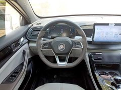 BYD Qin PLUS 2023 Champion Edition DM-i 55KM Leading - ფოტო 11