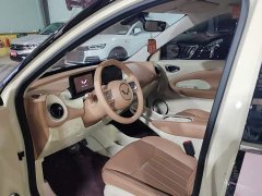 Wuling Binguo 333km Lingxi Premium Edition - ფოტო 13