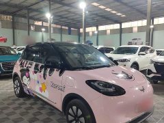 Wuling Binguo 333km Lingxi Premium Edition - ფოტო 2