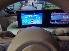 Wuling Binguo 333km Lingxi Premium Edition - ფოტო 4