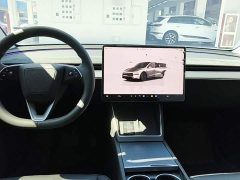 Tesla Model Y Long Range All-Wheel Drive - ფოტო 10