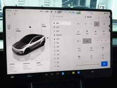 Tesla Model Y Long Range All-Wheel Drive - ფოტო 12