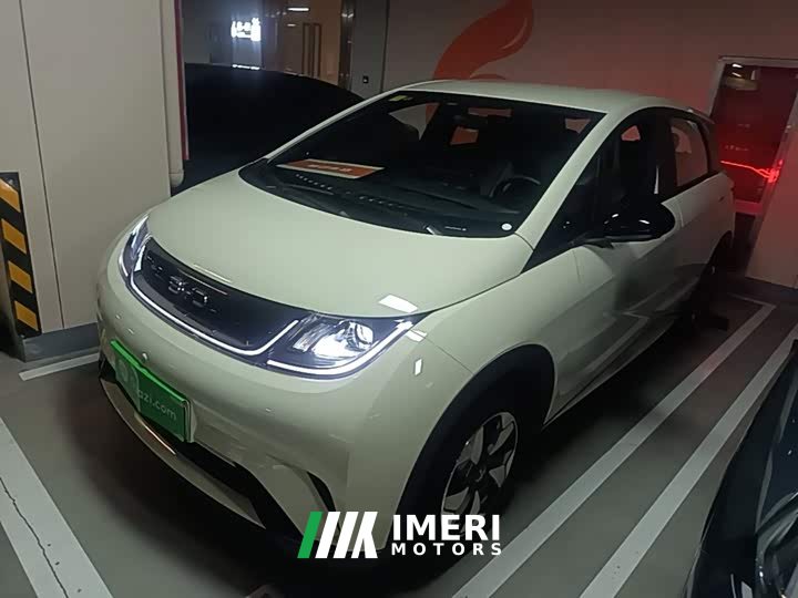 BYD Dolphin 420km Freedom Edition - ავტომობილი ჩინეთიდან