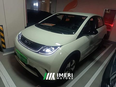 2026 BYD Dolphin 420km Freedom Edition - car from China
